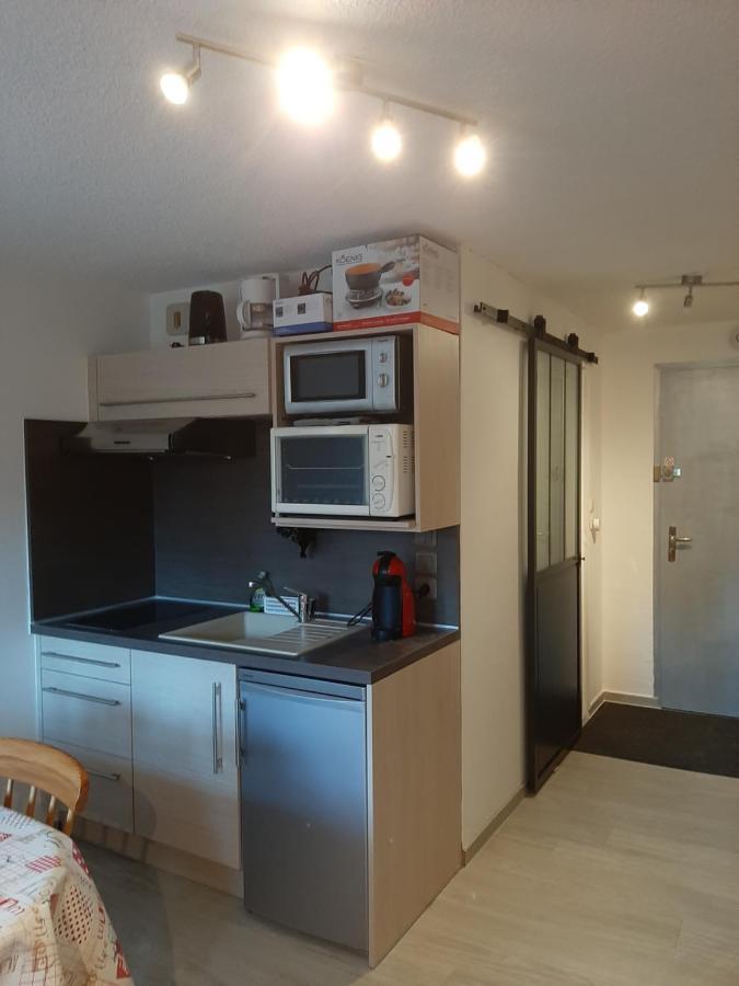 Studio Renove, Calme Avec Terrasse S-O, Prestations De Qualite - Residence Les Adraits Les Rousses Buitenkant foto